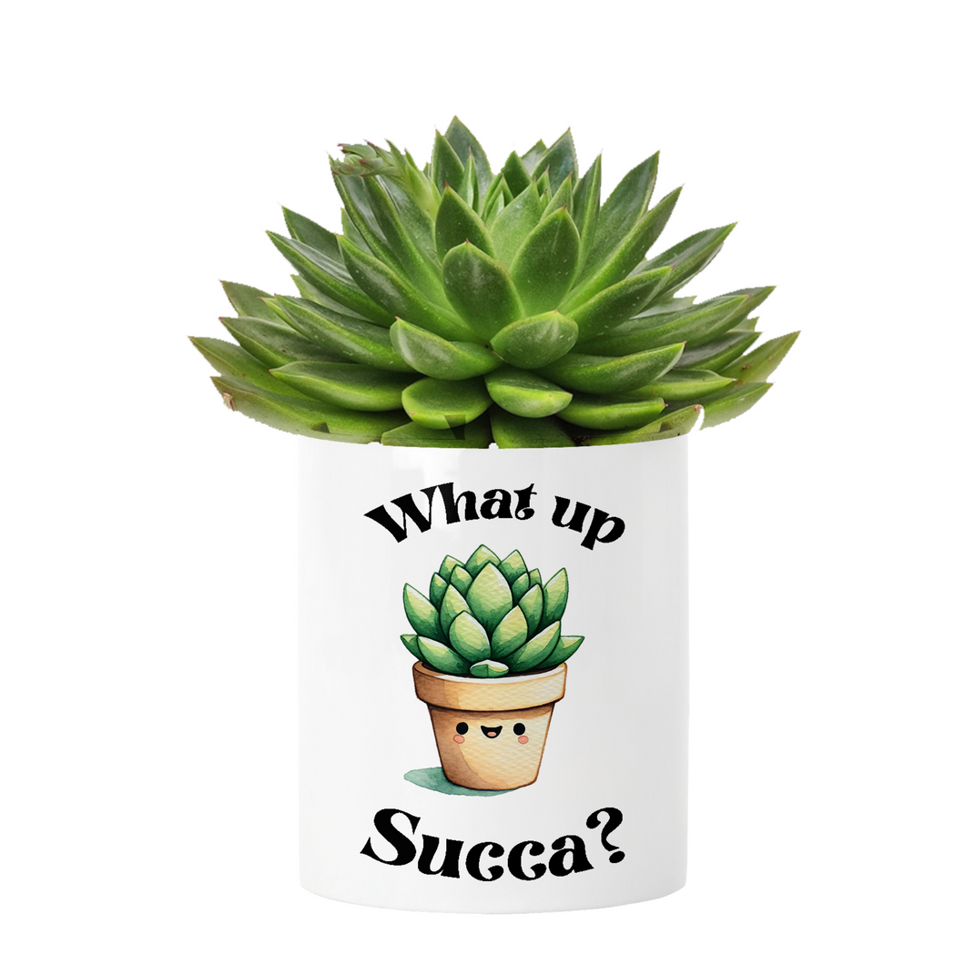What up Succa?