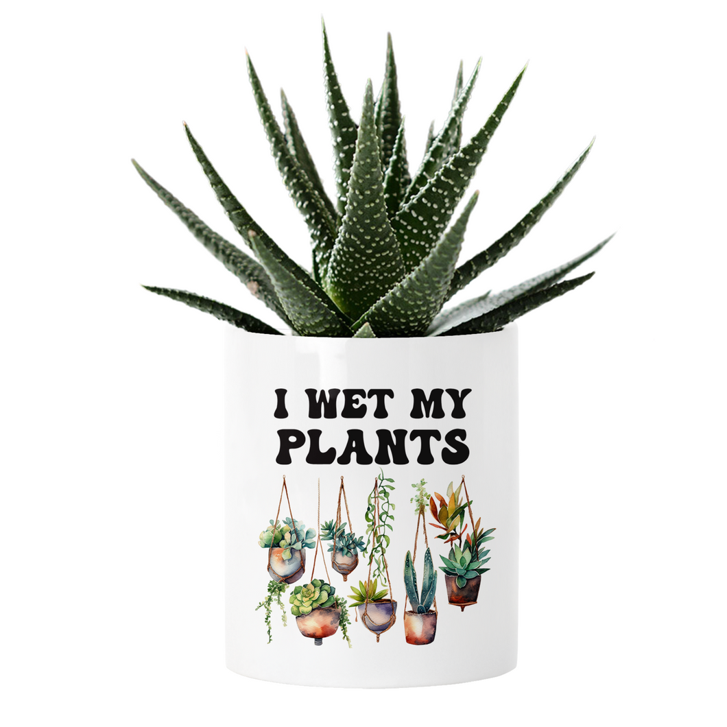 I wet my Plants