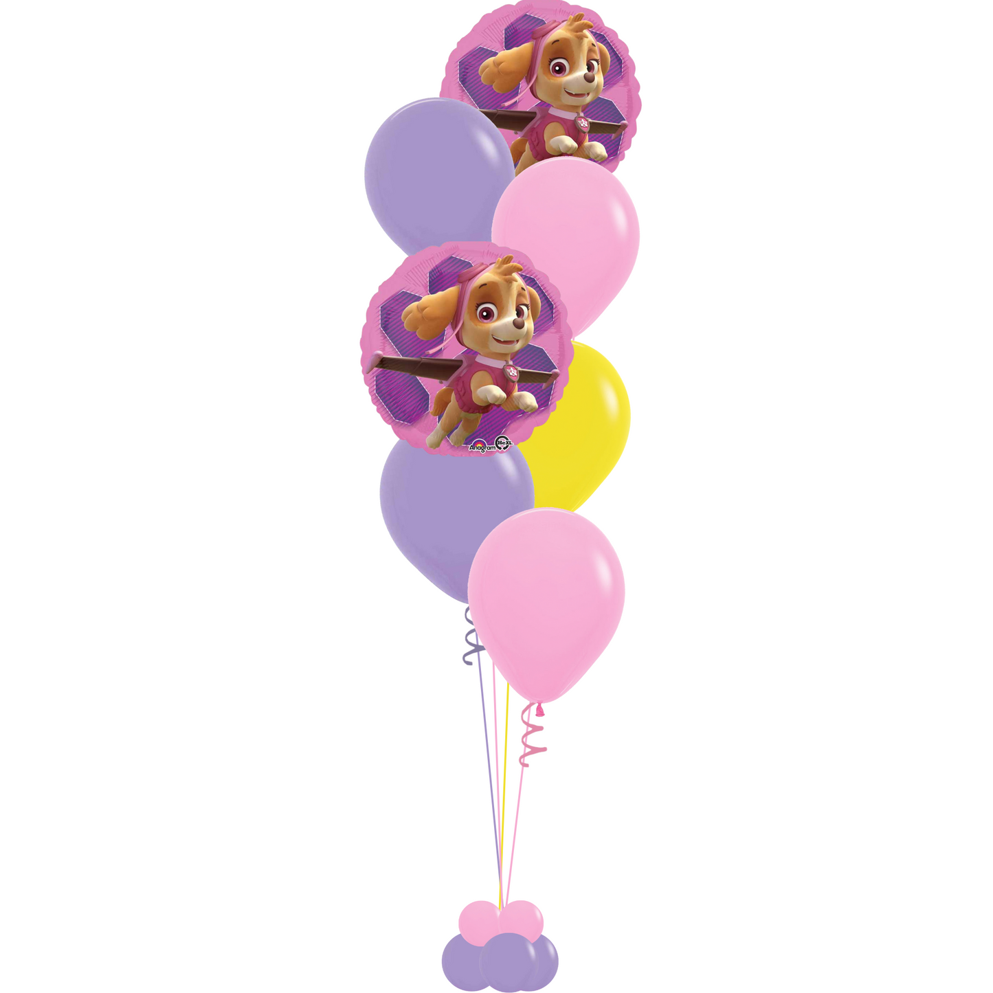 Paw Patrol Skye & Everest Birthday Bouquet