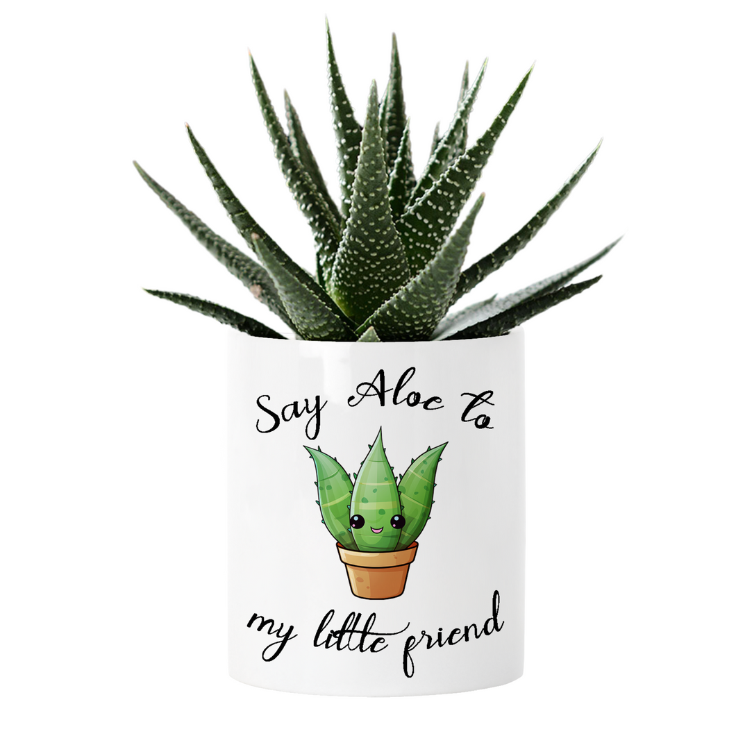 Say Aloe to my little Friend